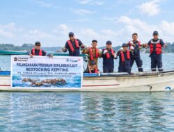Jaga Ekosistem Pesisir, PT Timah Tbk Kembali Restocking 1.000 Kepiting Bakau di Kundur