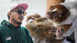 Karhutla Mengusik Ekosistem, PT Timah Tbk dan Alobi Intensifkan Penyelamatan Satwa Liar di Babel