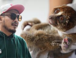 Karhutla Mengusik Ekosistem, PT Timah Tbk dan Alobi Intensifkan Penyelamatan Satwa Liar di Babel