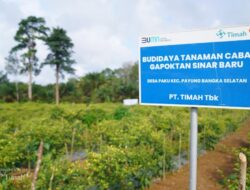 Dari Pertanian hingga Perikanan, PT Timah Tbk Perkuat Ketahanan Pangan Berbasis Potensi Lokal